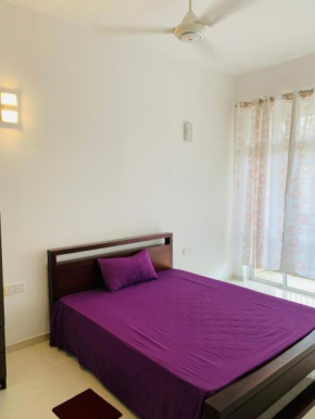 Bayy residencies